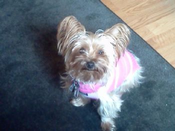 Princess81 profile photo