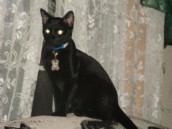 Princess81 profile photo