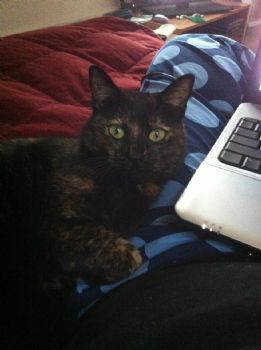 katieslt profile photo