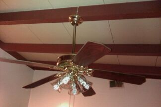 mzvickizit profile photo