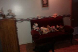 mzvickizit profile photo