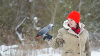 StephWA profile photo