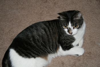 IamZIM profile photo