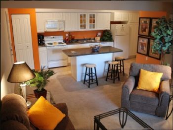 knopess profile photo