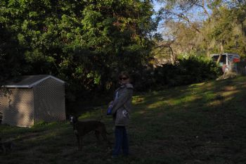 michadejesus profile photo