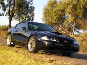 BullittGirl profile photo