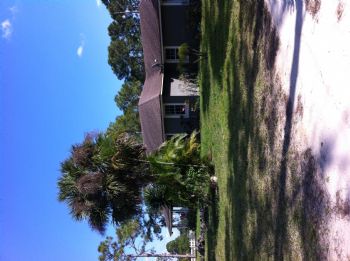 rosa29 profile photo