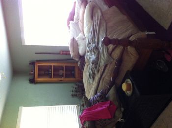 rosa29 profile photo