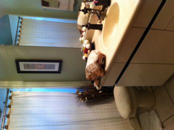 rosa29 profile photo