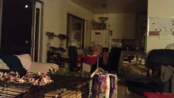 MerryMeri profile photo