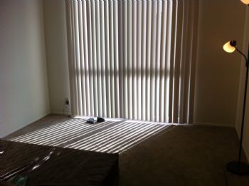 yayasure profile photo