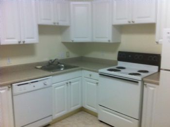 yayasure profile photo