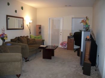 DanielleO profile photo