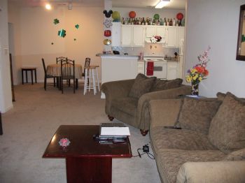 DanielleO profile photo