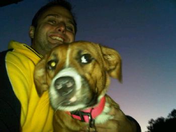 pevan1 profile photo