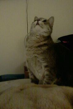 tylerrr1992 profile photo