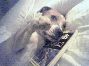 olwen8 profile photo
