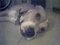 olwen8 profile photo