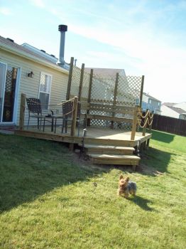 ali2478 profile photo