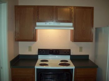 ali2478 profile photo