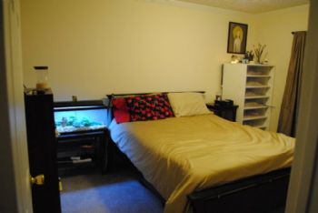 Ta2dstars profile photo