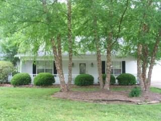 mstagner profile photo