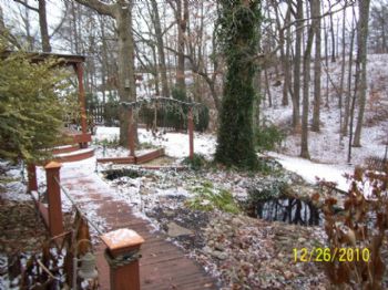 mstagner profile photo