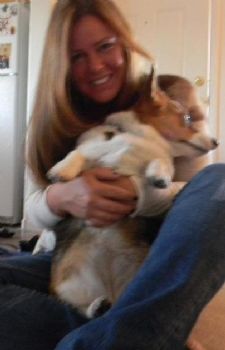 onecorgi profile photo