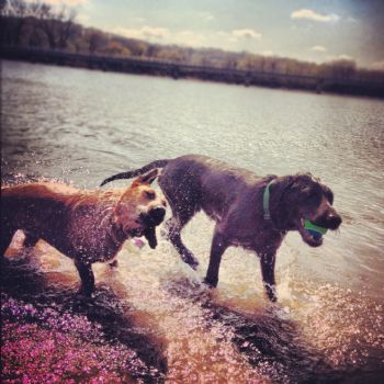 CoZspot profile photo