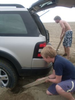 mcs384 profile photo