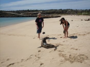 mcs384 profile photo