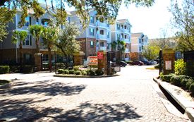 viladi340 profile photo