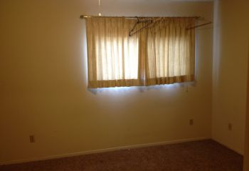 tj4544 profile photo