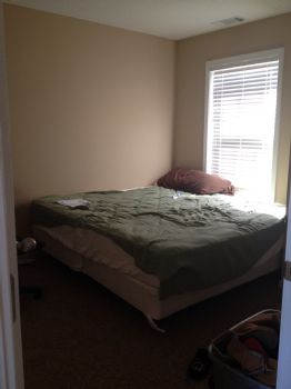 Anacep profile photo