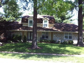 nealbrunk profile photo