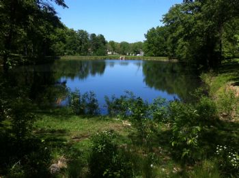 nealbrunk profile photo