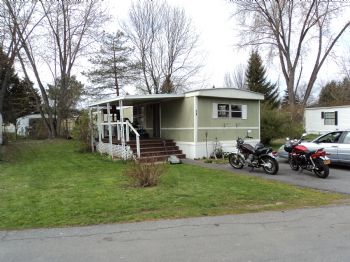 striffle profile photo