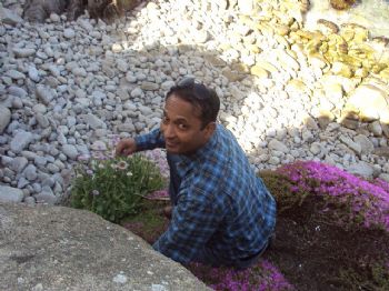 msingh747 profile photo