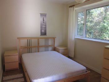 olisken profile photo