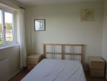 olisken profile photo