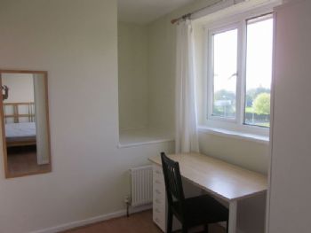 olisken profile photo