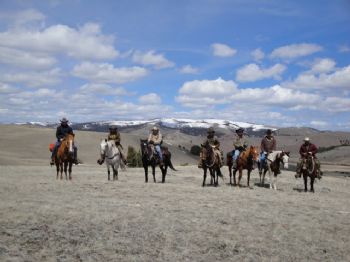 guide44 profile photo