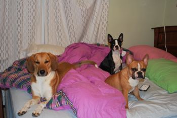 mlabosky profile photo