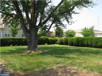 miannuzzi profile photo