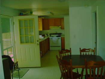 pinetree profile photo