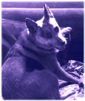 NikkiInk profile photo