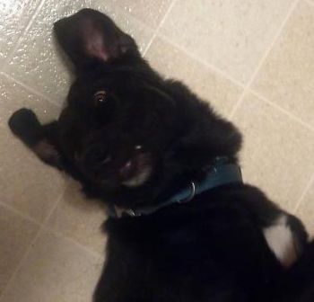 jem3117 profile photo