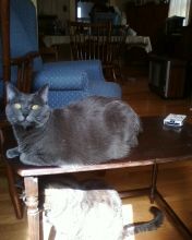 DarthVodkas profile photo