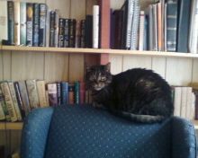 DarthVodkas profile photo