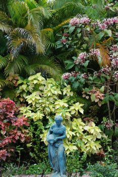 eliselindley profile photo